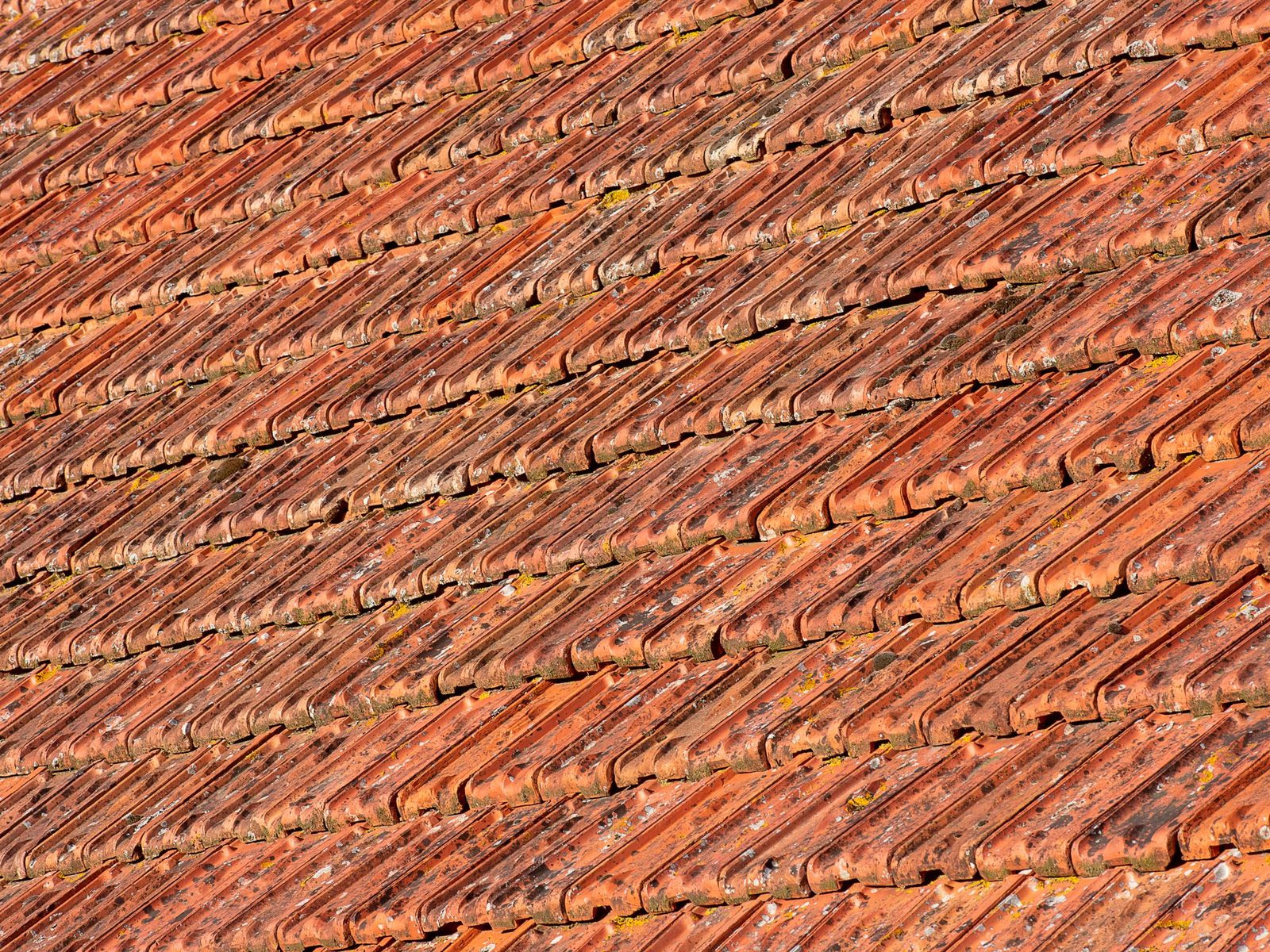 Weathered orange clay roof tiles